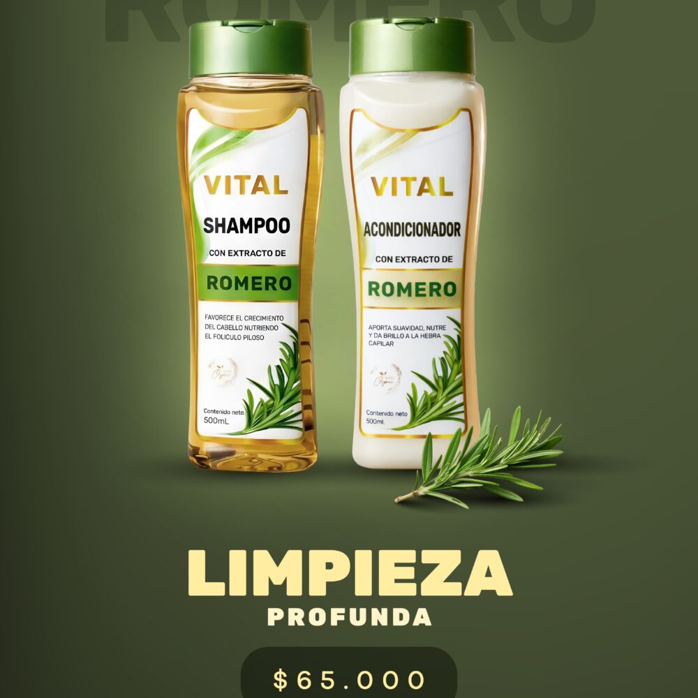 Dúo Romero – Limpieza Profunda